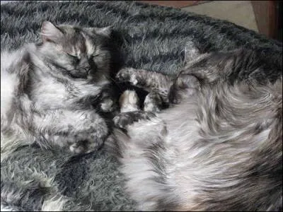 Tout a, finalement, ce n'est qu'une affaire de tour et de cloches !