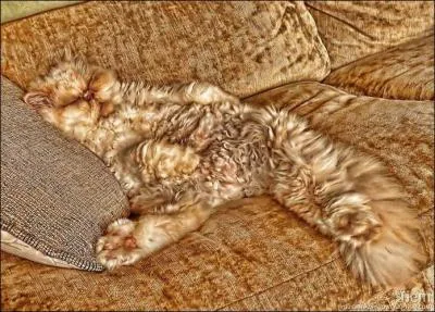 Officier en odeur de saintet !