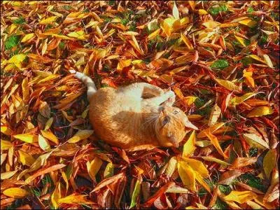 Ca ne vaut pas grand-chose, presque rien !