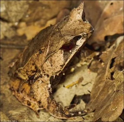 Que voyez-vous sur la photo ?