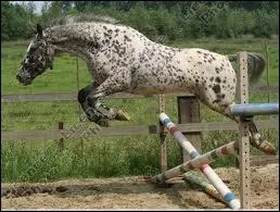 Pendant un saut, que doit-on faire ?