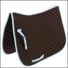 Pourquoi met-on un tapis sur le cheval ?