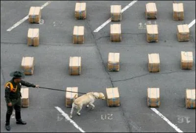 Selon une tude sur la consommation de drogue dans dix-sept Etats, les Etats-Unis sont le pays dans lequel on teste le plus la cocane: 16% des Amricains auraient dj essay la poudre blanche. Quel pays arrive sec