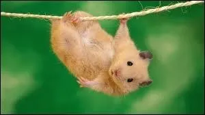 Comment m'appelle-t-on ?