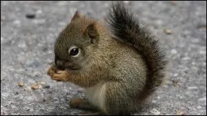 Par quel nom me désigne-t-on ?