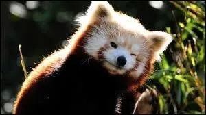 Comment m'appelle-t-on ?