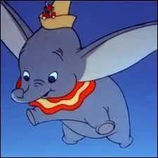 Pourquoi peut-il voler ?