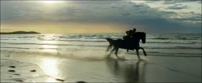 Comment s'appelle le cheval de Perse ?