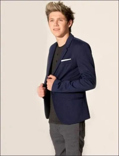 De quel instrument joue principalement Niall ?