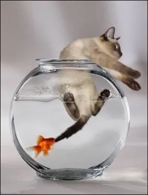 Pour plus d'ambiance, Moquette et Jackmar organisent un concours de pche... de rue. La pche de rue a une rgle importante, celle de ne pas :