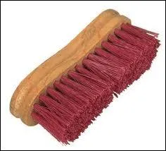 Quel est le nom de cette brosse ?