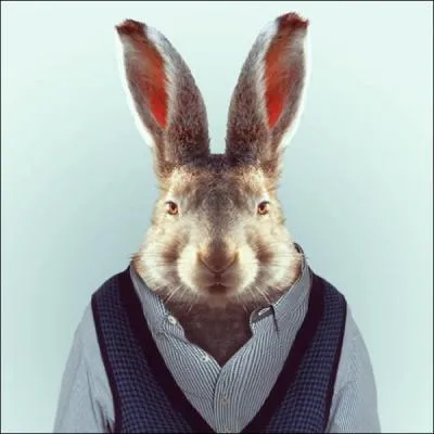 Si vous ne trouvez pas le mot, je ...