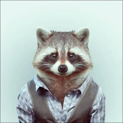 Etre cailleux, habitant de l'onde !