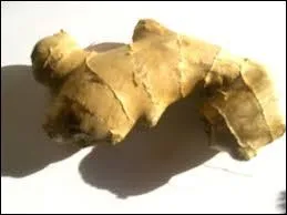 Le gingembre est utile 