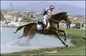 Quel est ce cheval de cross ?