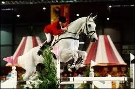 Quel est ce cheval de CSO ?