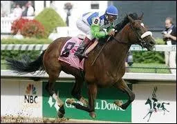 Quel est ce cheval de course ?