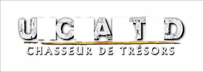 De quel jeu vido s'agit-il ?