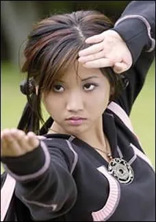 Quelle jeune actrice, s'tant fait connatre grce  la srie  La Vie de palace de Zack et Cody , incarne la guerrire Wendy Wu dans ce tlfilm Disney ?