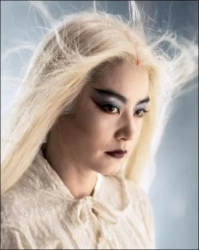 Quel ralisateur hongkongais a mis en scne  Jiang-Hu, entre passion et gloire  ?