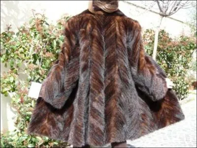  Pour fabriquer mon manteau , dit la belle, il a fallu :