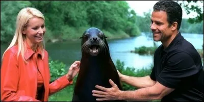 Qui est Robbie dans "Les Aventures de Robbie" ?