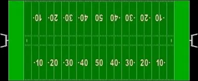 A quel sport appartient ce terrain ?