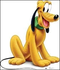 Comment se nomme le chien de Mickey ?