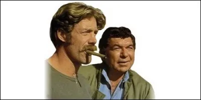 Dans "L'Aventure est au bout de la route", Sonny et Will sont :