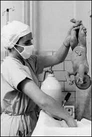 Mon pre abandonne ma mre avant ma naissance, ma mre meurt une heure aprs m'avoir mis au monde et je sais que je suis quelqu'un d'exceptionnel. Je suis :