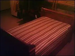 Ma premire apparition dans le film est moi en train de sauter sur un lit. Je suis :