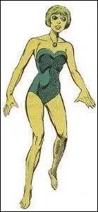 Quel est ce super-hros ?