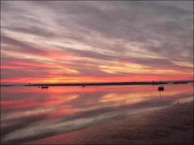 Qui a crit  La Promesse de l'aube  ?