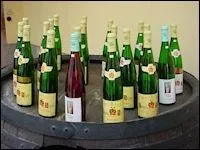 Ce contenant dsigne un verre, un instrument de musique, et aussi la bouteille de vin d'Alsace. Quel est son nom ?