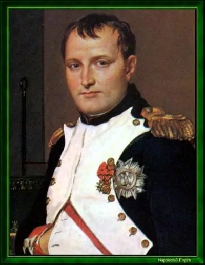 David, le portraitiste de tous les temps, a reprsent Napolon revtu de son uniforme :