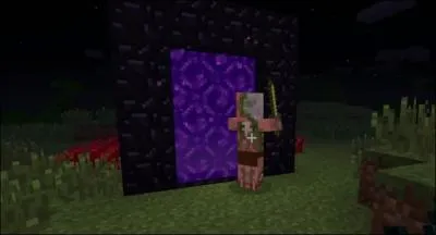 Quel est ce monstre qui veut rentrer dans un portail ?