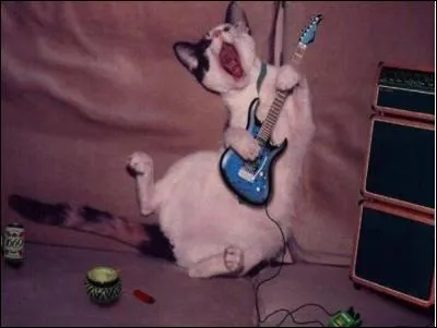 Un manga haut de gamme ? Oui, oui,  maNga  est un groupe de :