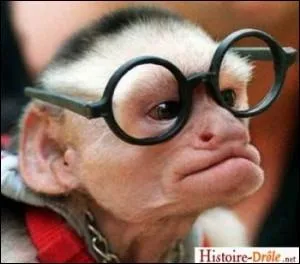 Cet alphabet vous rend intellectuel ! Les... premires runes proviennent toute du vieux Futhark, auxquelles s'ajoutent cinq runes additionnelles :