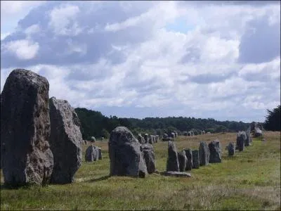 Quelle hauteur atteint le plus haut des 2934 menhirs visibles  Carnac ?