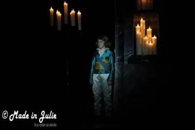 Ces petites comdiennes ne jouent pas seulement Charlotte dans le spectacle. Elles jouent aussi :