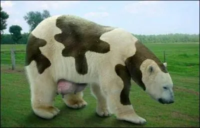 Avec lui, vous allez faire votre beurre !