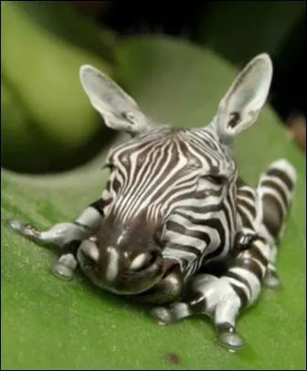 Ils s'taient donn rendez-vous dans dix ans, mme jour, mme heure, mme port, et voil le rsultat !