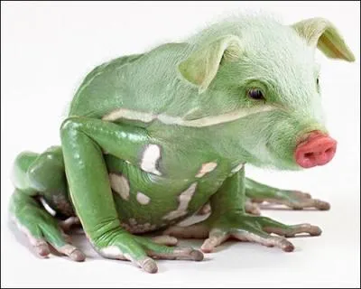 Pas facile de la tenir, elle sautait partout !