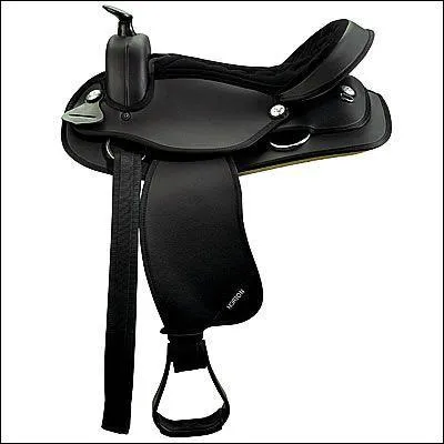 De quelle sorte est cette selle ?