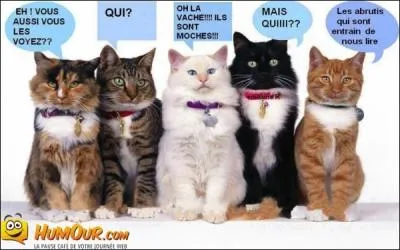 Ma grand-mre a un frre prnomm Guillaume. Lui-mme a un frre prnomm Edmond qui a une soeur prnomme lose. Combien d'enfants ont eu mes arrires-grands-parents ?