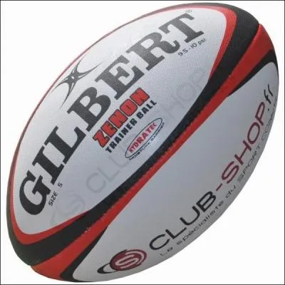 Dans quel sport utilisons-nous ce ballon ?