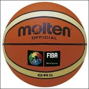 Dans quel sport utilisons-nous ce ballon ?