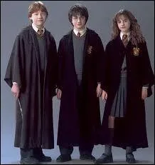 A quel moment Harry Potter, Ron Weasley et Hermione Granger se lient-ils d'amiti ?