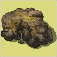 Combien peut-on revendre un crottin ?