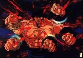 Dans ce quiz, le terme  Hokuto  ou  Hokuto Shinken  a souvent t utilis. Quelle est la particularit de cet art destructeur ?